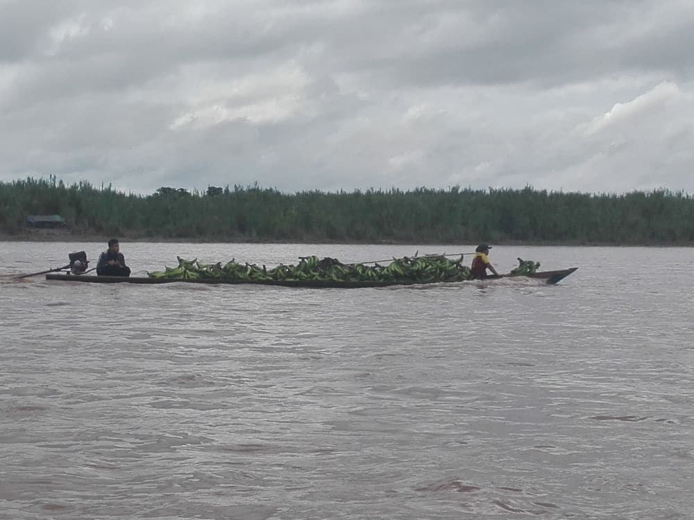 Bananas Are from Communities Transported to Atalaya And Sold on the Market