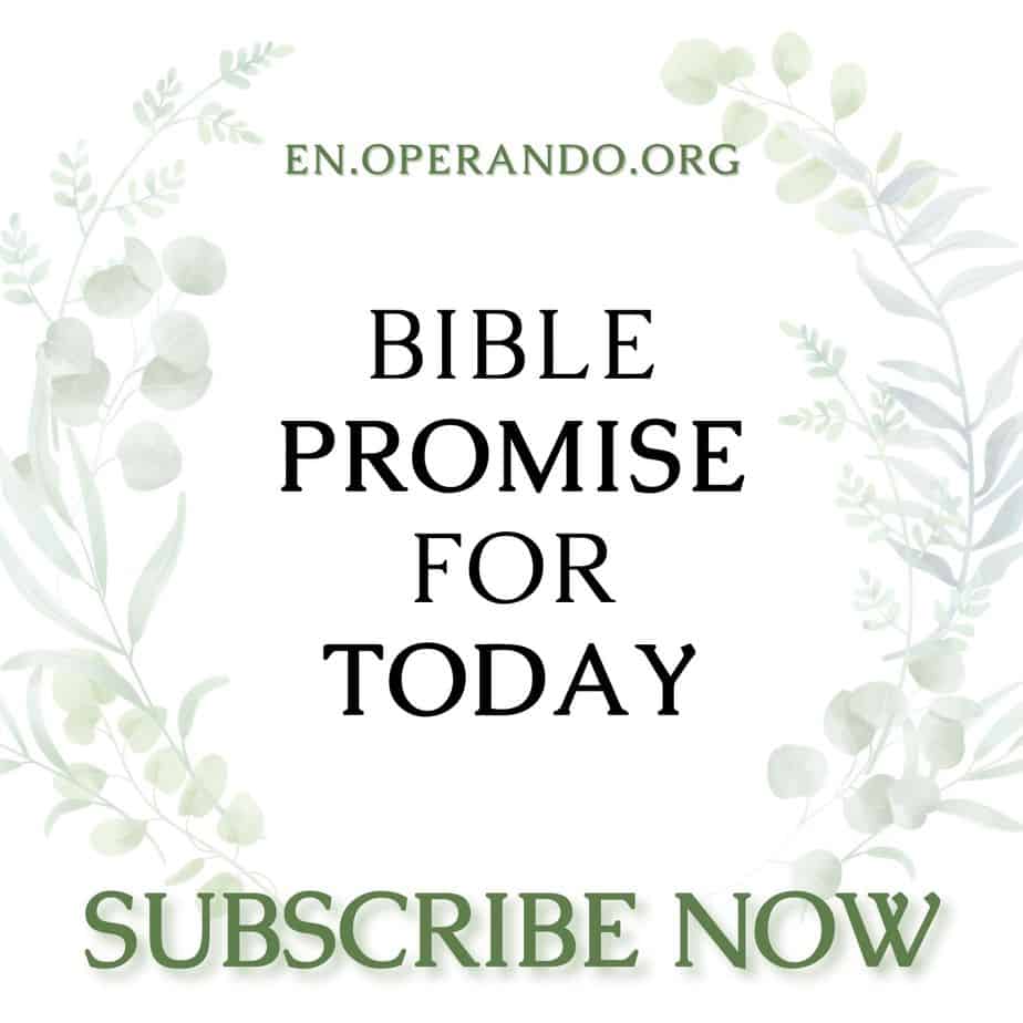 Daily Bible Promise